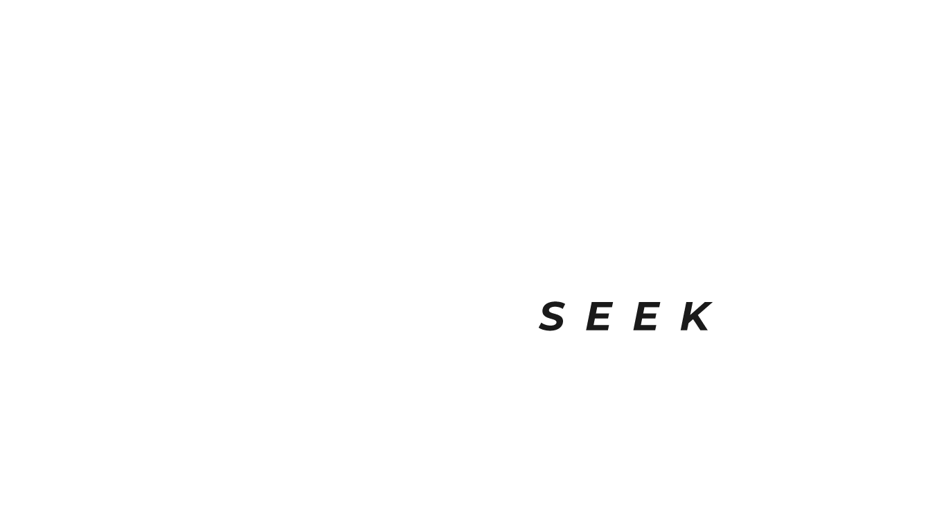 Truck-seek logo